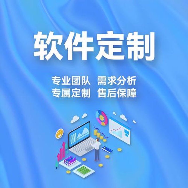 软件定制开发:企业数字化转型的新引擎